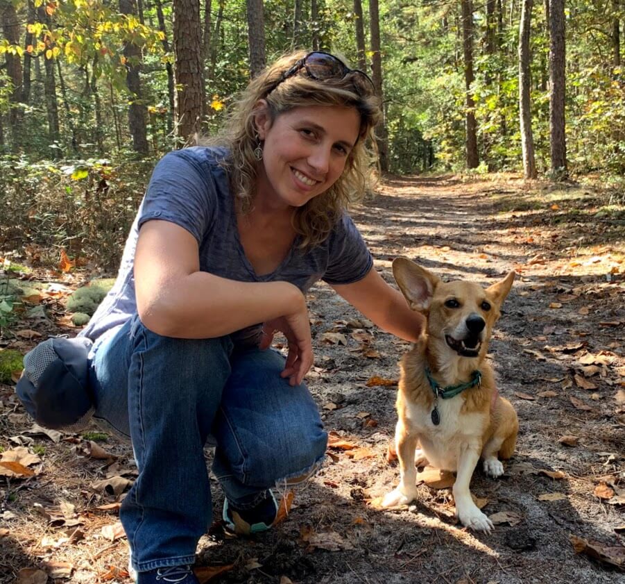 Winner small image - Dances with Dogs